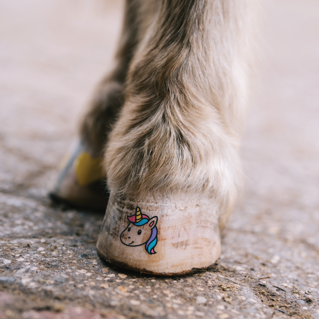 Einhornkopf