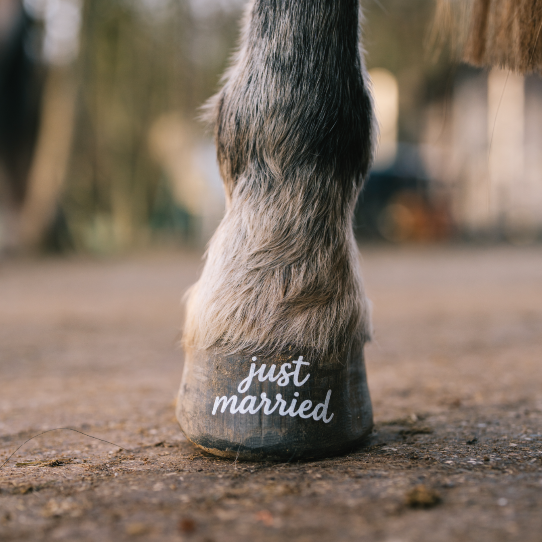 just married