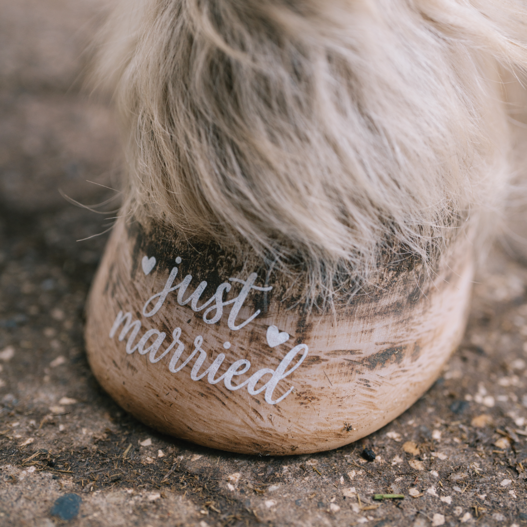 just married mit Herzen (weiß)