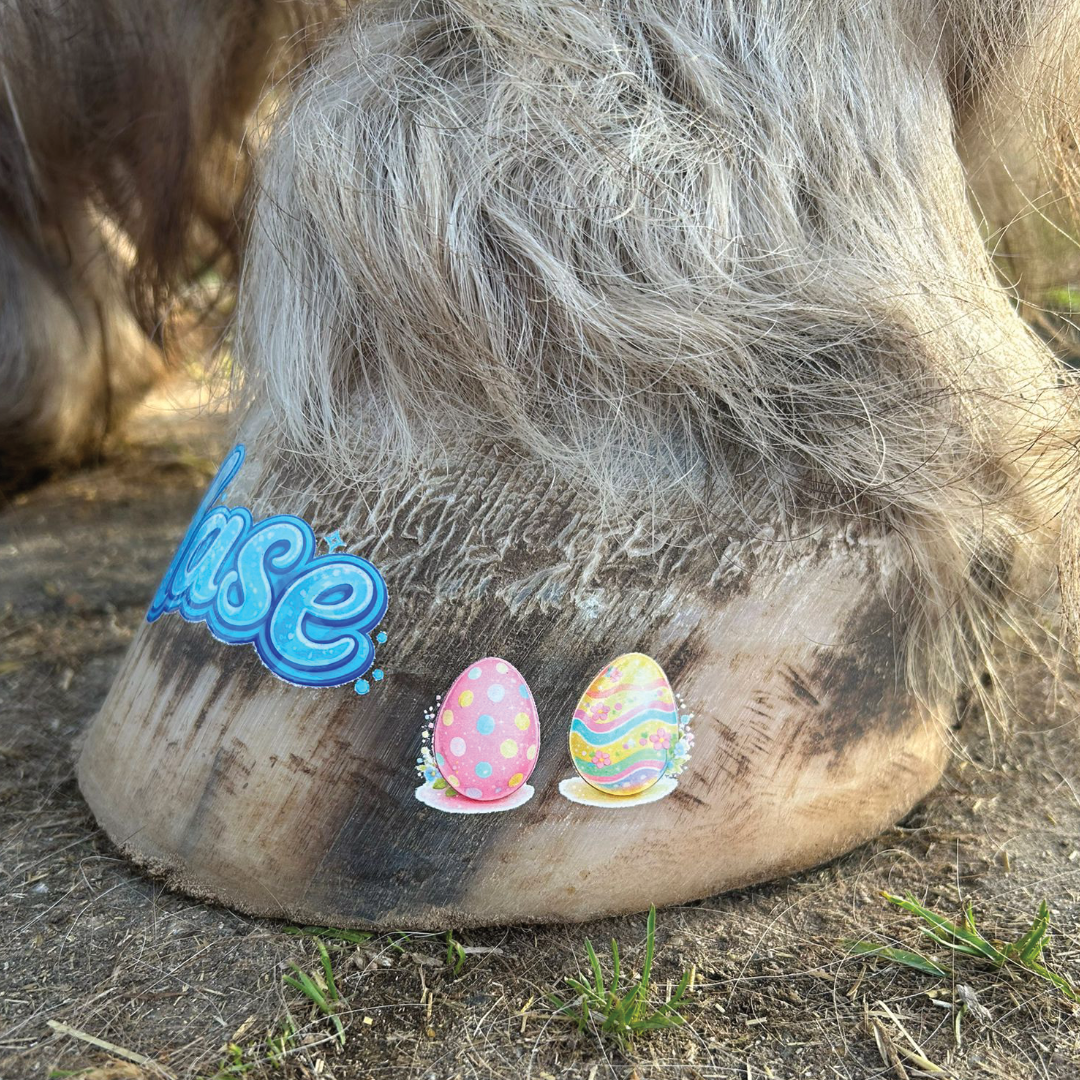 Ostereier pink & gelb