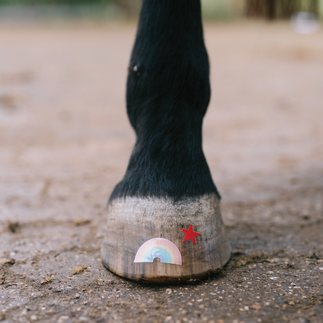Regenbogen pastell