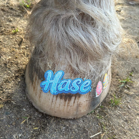 Hase