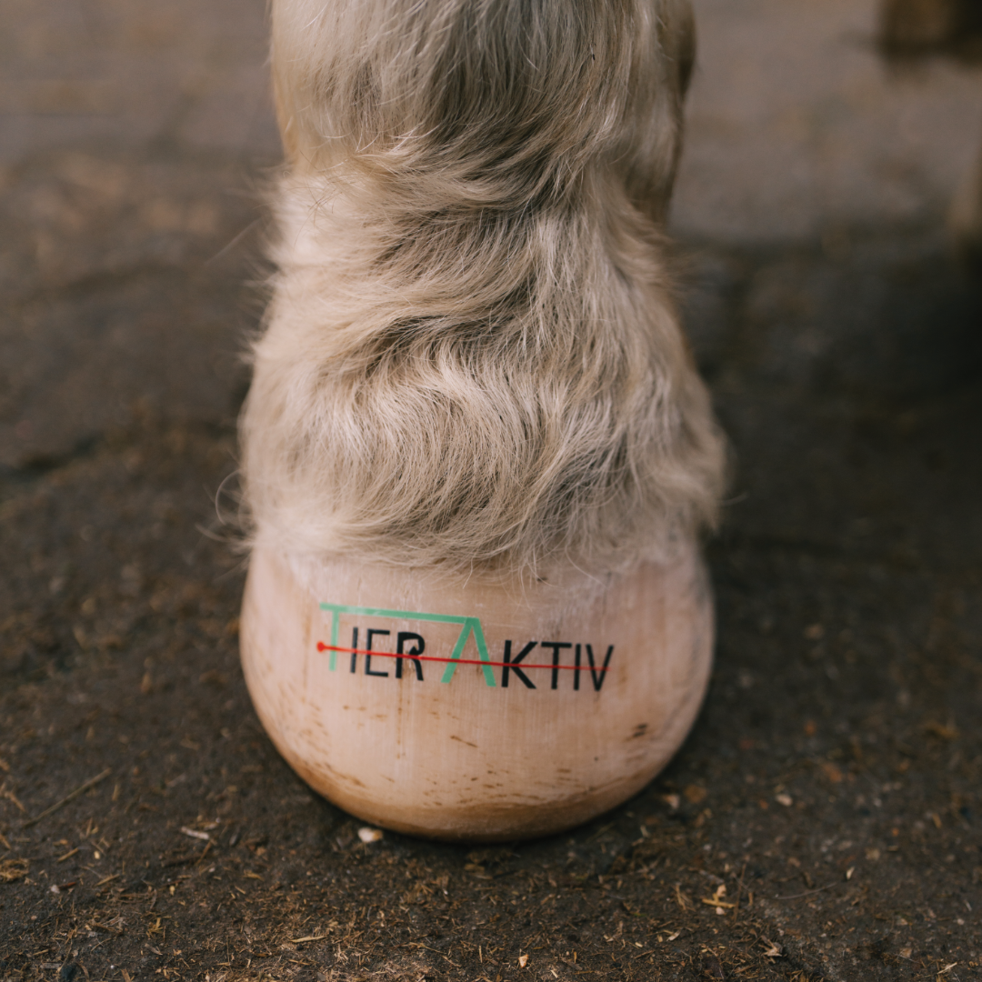 HUFTATTO GESTALTEN - Individuelles Motiv