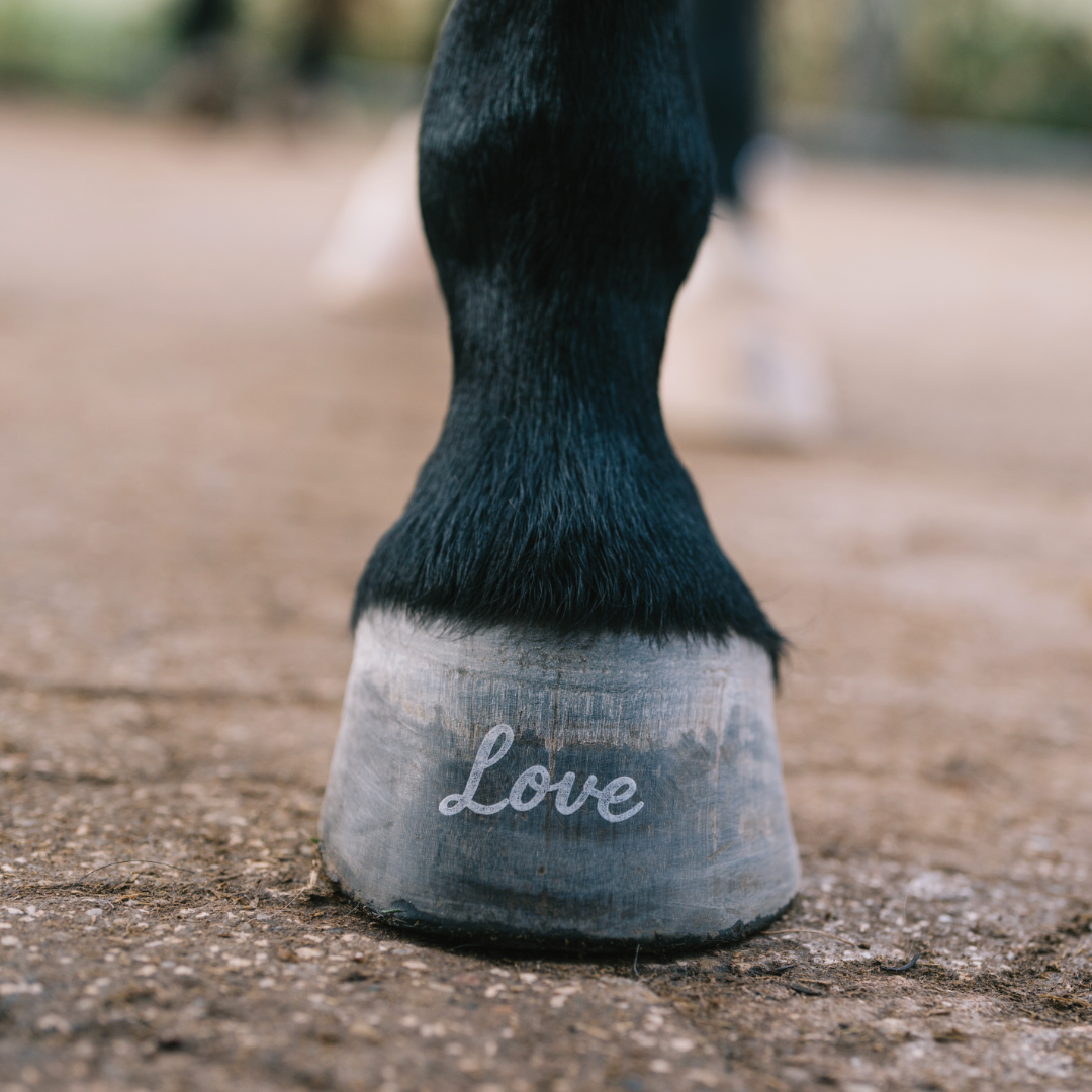 HUFTATTO GESTALTEN - Individueller Schriftzug