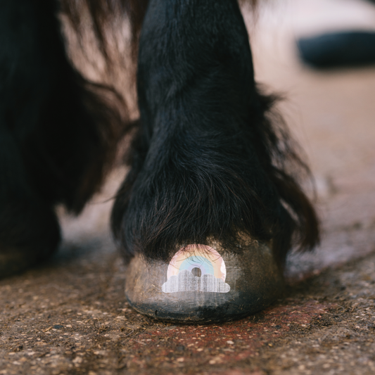 Regenbogen pastell mit Wolke