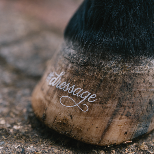 #dressage (Script-Font)