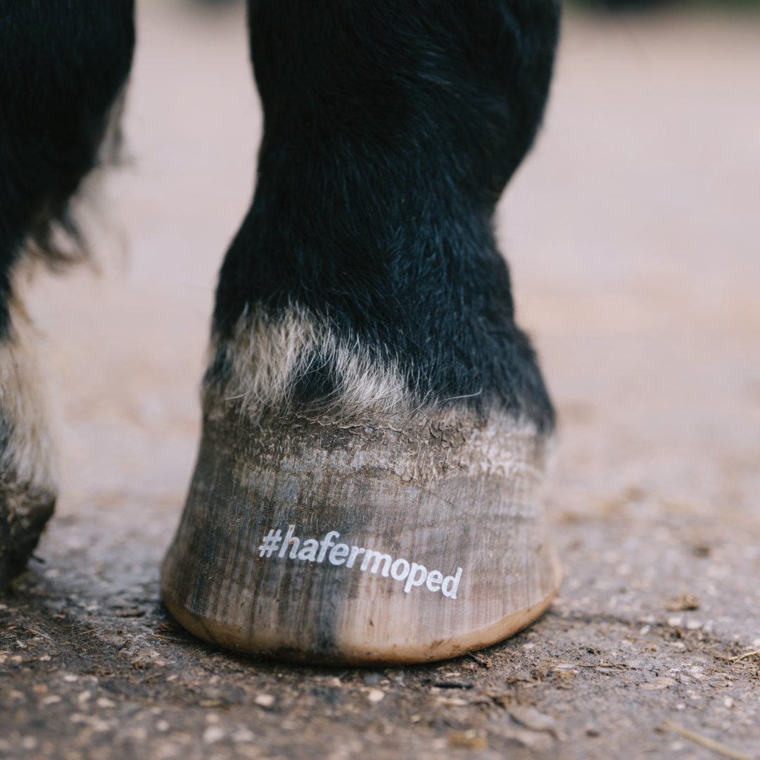 HUFTATTO GESTALTEN - Individueller Schriftzug